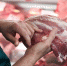«Горячая линия» по вопросам качества и безопасности мясной и рыбной продукции и срокам годности  с  11 по 25 сентября 2019 г. - Городской округ Заринск