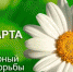 . - Администрация Заринского района