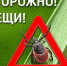 Клещи - возбудители опасных инфекций - Администрация Заринского района