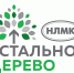 Стартовал прием заявок на гранты программы «Стальное дерево» 2023 года - Городской округ Заринск