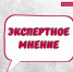 Новые возможности для многодетных семей. - Городской округ Заринск