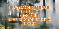В Алтайском крае с 11.04.2025 установлен особый противопожарный режим. - Городской округ Заринск