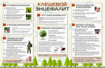 Осторожно клещи!